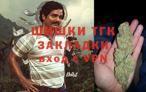 мет Арсеньев