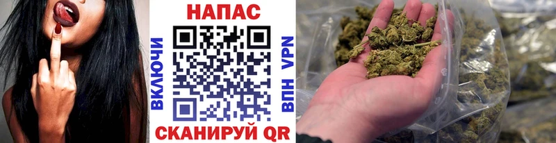 цена   Суровикино  Конопля план 